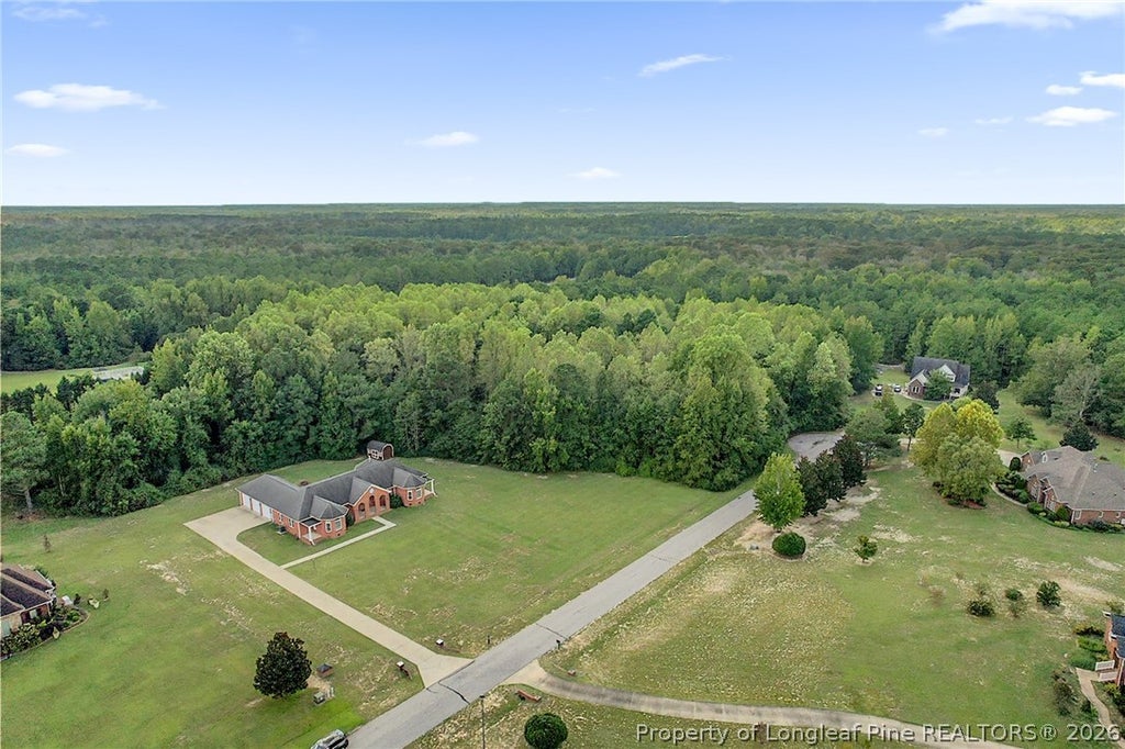 Photo of 251 Water Ridge Lane, Stedman, NC 28391 (MLS # 769129)
