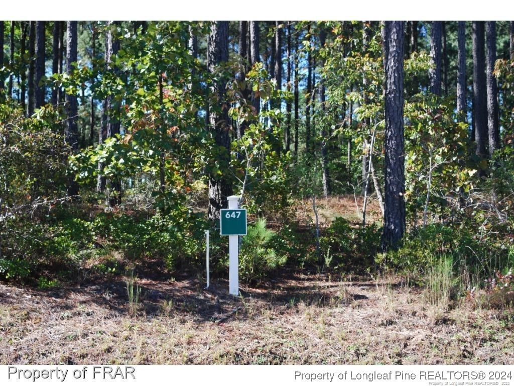 Photo of 125 Broadlake (647) Lane, Spring Lake, NC 28390 (MLS # 734176)
