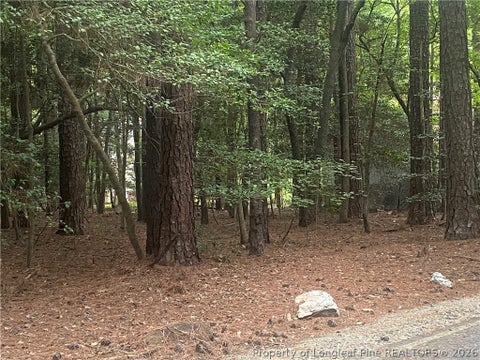 Photo of 3020 Bourbon Street, Sanford, NC 27332 (MLS # 768378)
