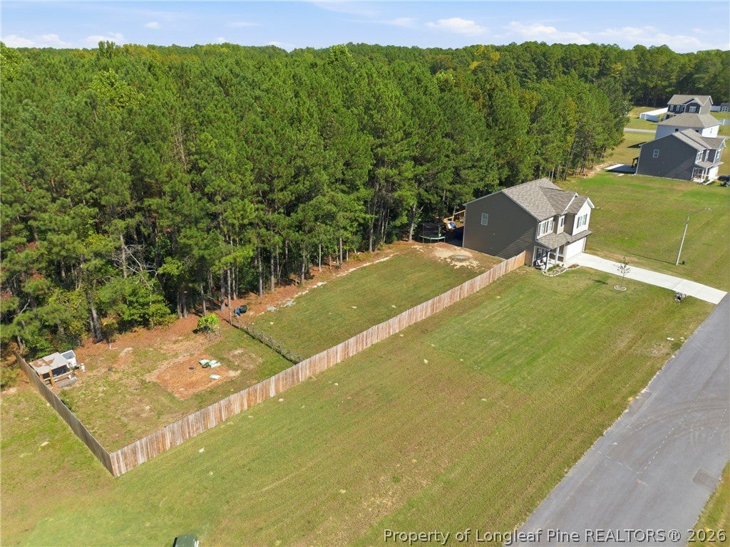 Photo of 98 Baneberry Place, Broadway, NC 27505 (MLS # 770940)