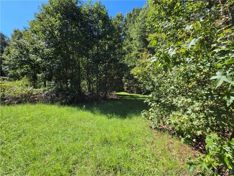 Tiny photo for 9685 Giles Road, Linden, NC 28356 (MLS # 769973)