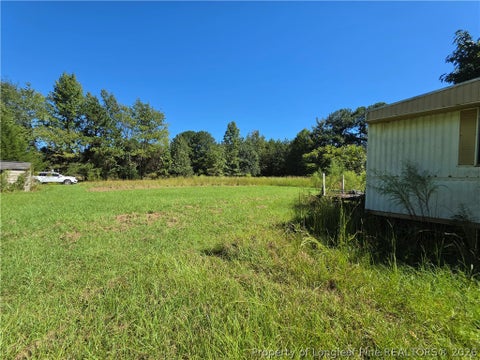 Tiny photo for 9685 Giles Road, Linden, NC 28356 (MLS # 769973)
