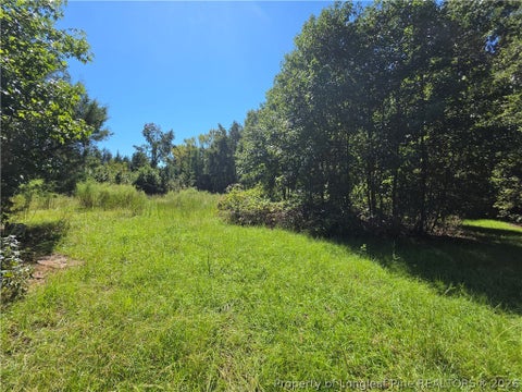 Tiny photo for 9685 Giles Road, Linden, NC 28356 (MLS # 769973)