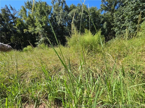 Tiny photo for 9685 Giles Road, Linden, NC 28356 (MLS # 769973)