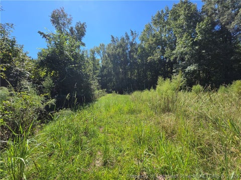 Tiny photo for 9685 Giles Road, Linden, NC 28356 (MLS # 769973)