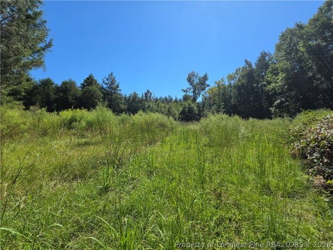 Tiny photo for 9685 Giles Road, Linden, NC 28356 (MLS # 769973)