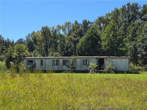 Tiny photo for 9685 Giles Road, Linden, NC 28356 (MLS # 769973)