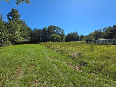 Tiny photo for 9685 Giles Road, Linden, NC 28356 (MLS # 769973)