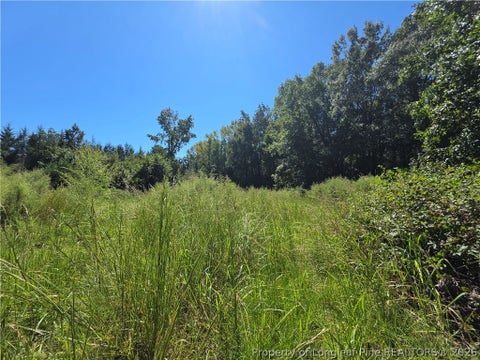 Tiny photo for 9685 Giles Road, Linden, NC 28356 (MLS # 769973)