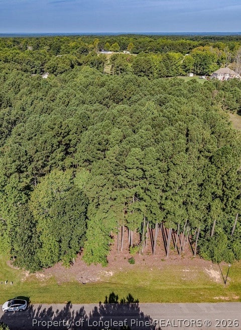 Photo of TBD Saintsbury Place, Sanford, NC 27332 (MLS # 767734)