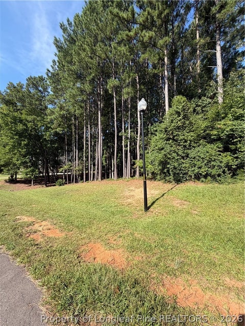 Tiny photo for TBD Saintsbury Place, Sanford, NC 27332 (MLS # 767734)