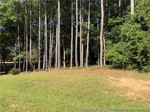 Tiny photo for TBD Saintsbury Place, Sanford, NC 27332 (MLS # 767734)