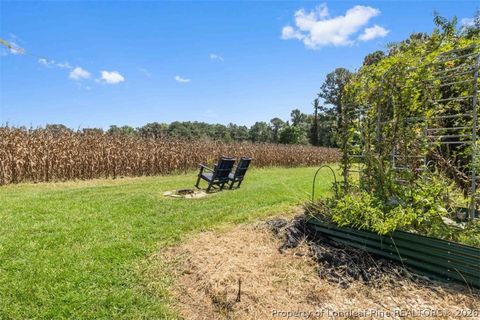 Tiny photo for 10958 and 10962 NC 904, Fairmont, NC 28340 (MLS # 761359)