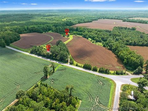 Tiny photo for 10958 and 10962 NC 904, Fairmont, NC 28340 (MLS # 761359)