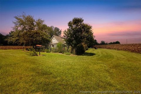 Tiny photo for 10958 and 10962 NC 904, Fairmont, NC 28340 (MLS # 761359)