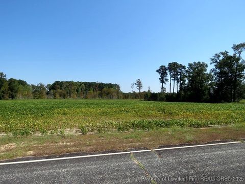 Tiny photo for TBD Cowpen Swamp Road, Fairmont, NC 28340 (MLS # 753990)