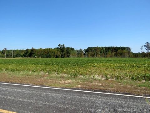 Tiny photo for TBD Cowpen Swamp Road, Fairmont, NC 28340 (MLS # 753990)