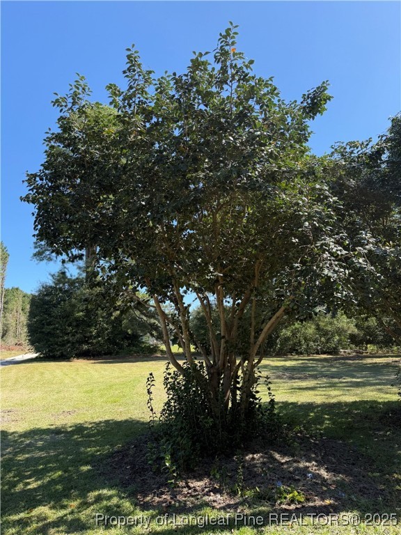 274 Lawrence Brown Road