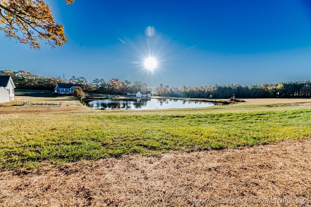 Photo of 2517 Sheriff Watson Road, Sanford, NC 27332 (MLS # 755025)