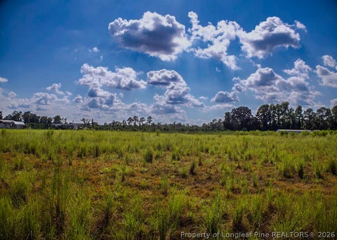 Photo of Lot 6 Mitchell Road, Fairmont, NC 28340 (MLS # 768685)