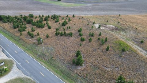Photo of Lot 3 Fairley Road, Maxton, NC 28364 (MLS # 762291)