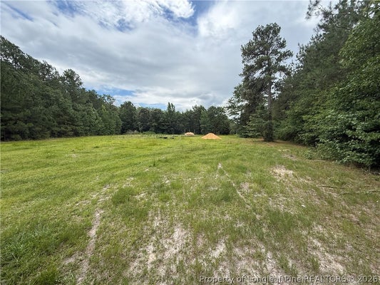 8476 BEAVER DAM RD, AUTRYVILLE, NC 28318 - Image 6454d0c6144e6b69ebbc5d992be9dbfa/1529902106