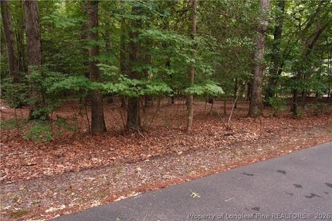 1146 Deerfoot Trail Sanford NC 27332