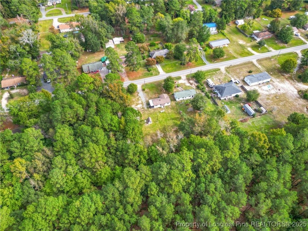 Photo of 21480 Jane Shaw Road, Wagram, NC 28396 (MLS # 750506)