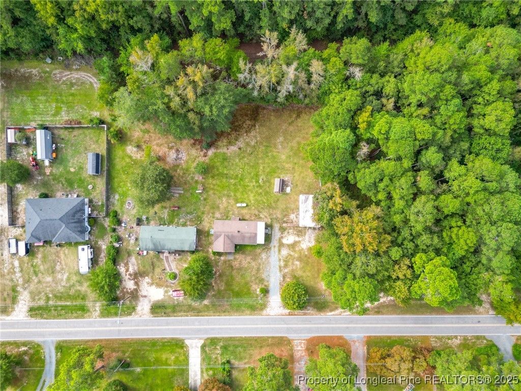 Photo of 21480 Jane Shaw Road, Wagram, NC 28396 (MLS # 750506)