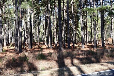 Tiny photo for Stuarts Mill Road, Fairmont, NC 28340 (MLS # 756433)