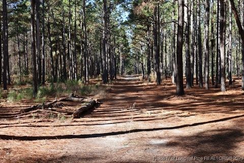 Tiny photo for Stuarts Mill Road, Fairmont, NC 28340 (MLS # 756433)