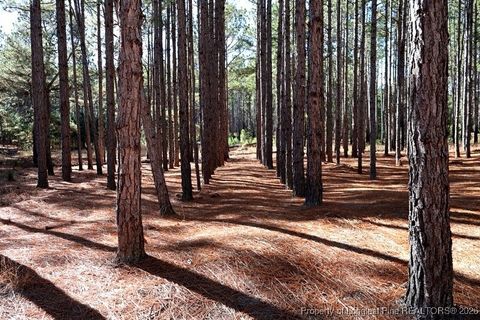 Tiny photo for Stuarts Mill Road, Fairmont, NC 28340 (MLS # 756433)