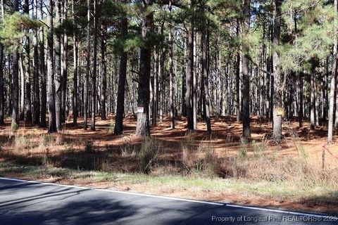 Tiny photo for Stuarts Mill Road, Fairmont, NC 28340 (MLS # 756433)
