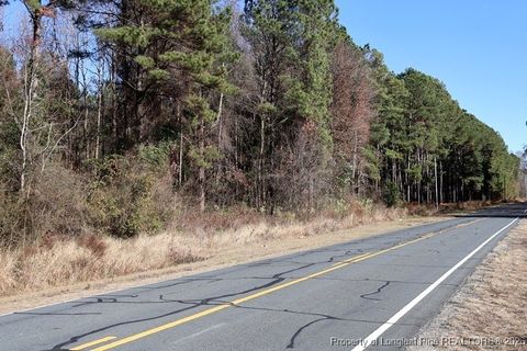 Tiny photo for Stuarts Mill Road, Fairmont, NC 28340 (MLS # 756433)
