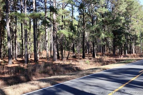 Tiny photo for Stuarts Mill Road, Fairmont, NC 28340 (MLS # 756433)