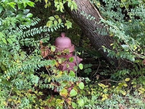 Tiny photo for TBD Galestown Road, Rockingham, NC 28379 (MLS # 750310)