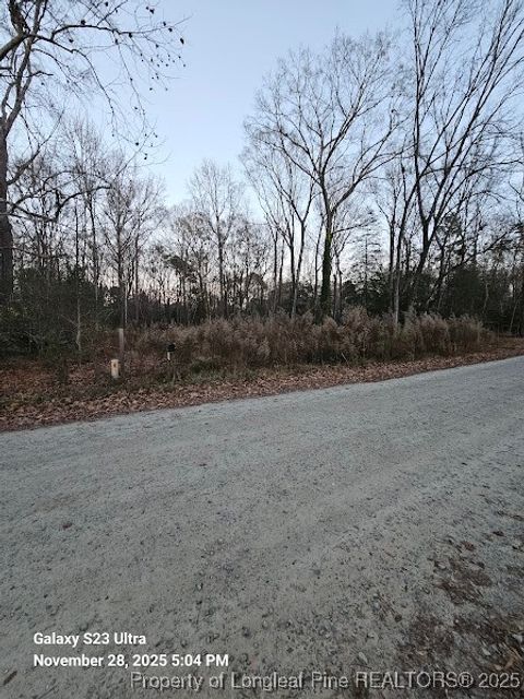 Tiny photo for 161 Bay Street, Fuquay Varina, NC 27526 (MLS # 754220)