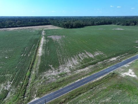 Photo of TBD Cowpen Swamp Road, Fairmont, NC 28340 (MLS # 753981)