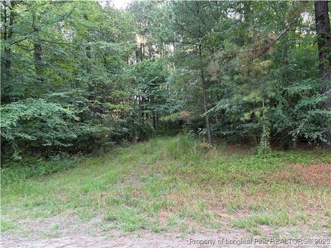 Tiny photo for Christian Chapel Church Road, Lillington, NC 27562 (MLS # 755104)