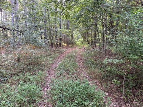 Tiny photo for Christian Chapel Church Road, Lillington, NC 27562 (MLS # 755104)