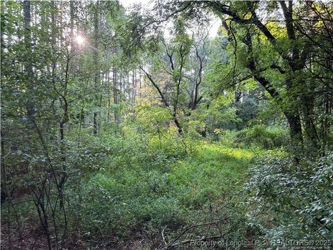 Tiny photo for Christian Chapel Church Road, Lillington, NC 27562 (MLS # 755104)