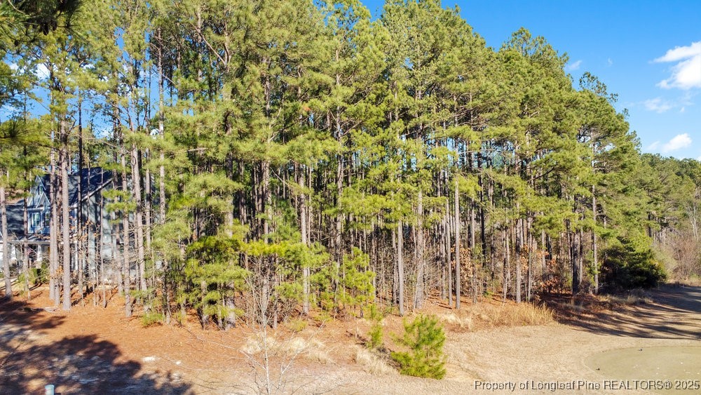 91 Anderson (Lot 318) Lake