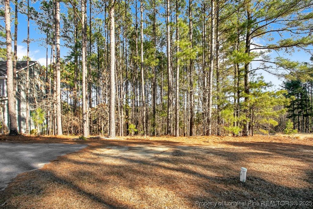 Photo of 91 Anderson (Lot 318) Lake, Spring Lake, NC 28390 (MLS # 735886)