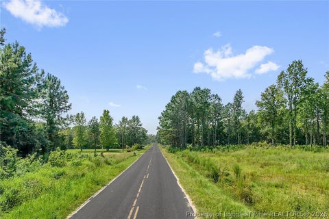 Tiny photo for 0 Maynard Road, Godwin, NC 28344 (MLS # 768589)