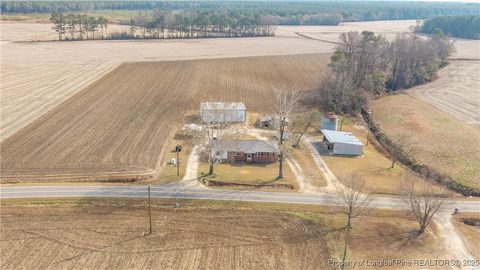 Photo of 573 Langston Road, Newton Grove, NC 28366 (MLS # 754504)