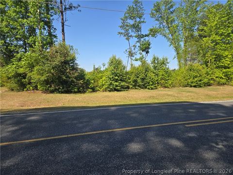 Photo of 2916 Hummingbird Place, Fayetteville, NC 28312 (MLS # 762275)