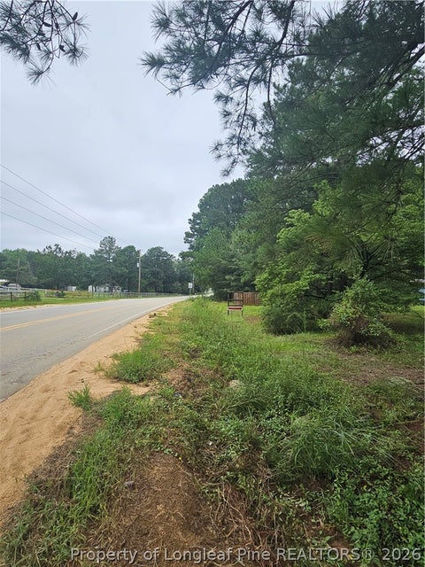 Photo of 23 Southfork Road, Parkton, NC 28371 (MLS # 768235)