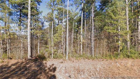 Photo of W Parkton Tobermory Road, Parkton, NC 28371 (MLS # 765696)