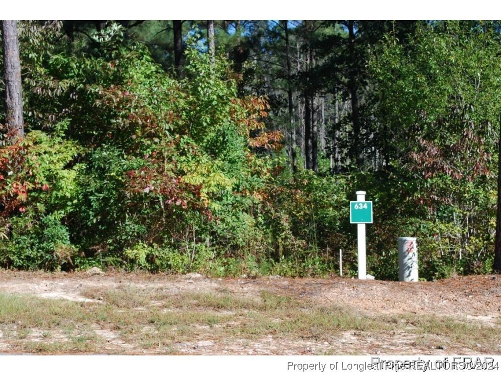 Photo of 132 Broadlake (634) Lane, Spring Lake, NC 28390 (MLS # 734178)