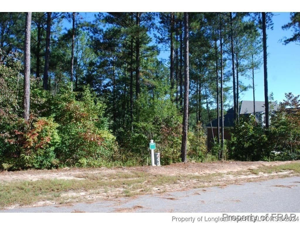 Photo of 132 Broadlake (634) Lane, Spring Lake, NC 28390 (MLS # 734178)